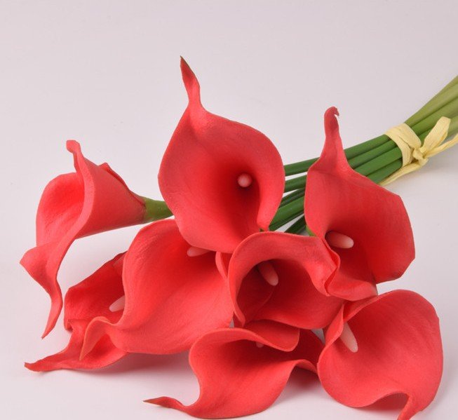 Bó 5 cây hoa rum, calla lily