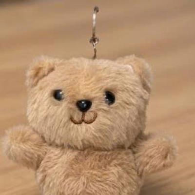 Móc khóa gấu bông mini 12cm