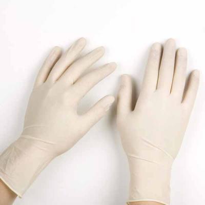 Găng tay cao su y tế Vglove không bột